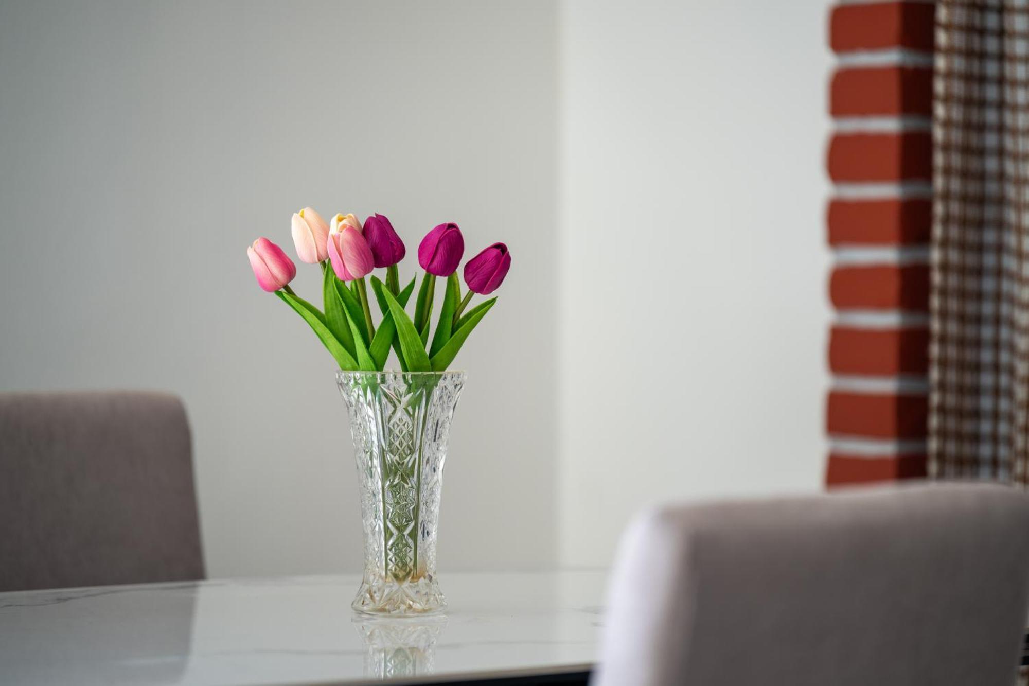 Apartment Gioia Ровинь Экстерьер фото